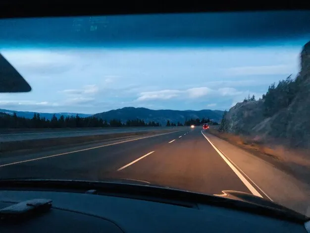 Missed the Exit, Made the History: In Praise of the Wrong Turn